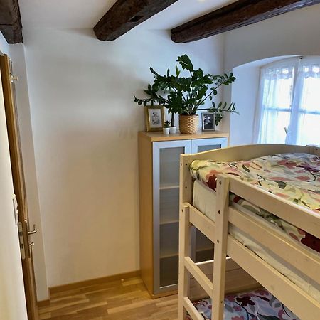 Le 128, Duplex Alsacien 10 Personnes, Piscine Apartment Horbourg Екстериор снимка